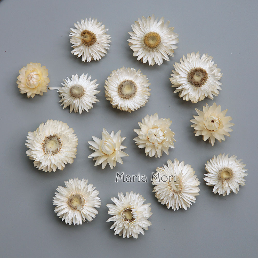 Naturalny suszony kolorowy wie – Baby Products For Bathing recenzja i cena